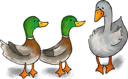Duck duck goose
