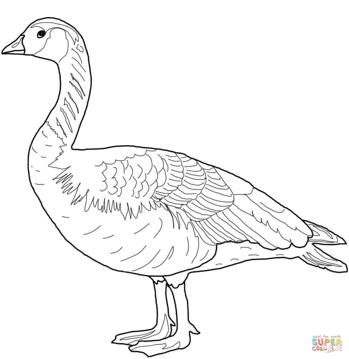 Canada wild goose coloring page free printable coloring pages