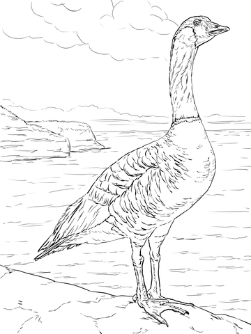 Nene goose coloring page free printable coloring pages