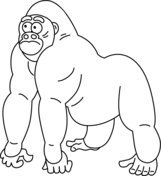 Gorillas coloring pages free coloring pages