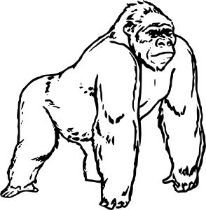 Gorilla coloring pages animal clipart free line art vector animal clipart