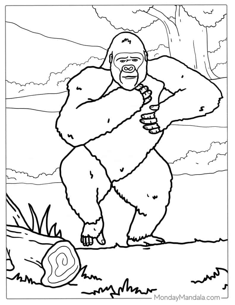 Gorilla coloring pages free pdf printables