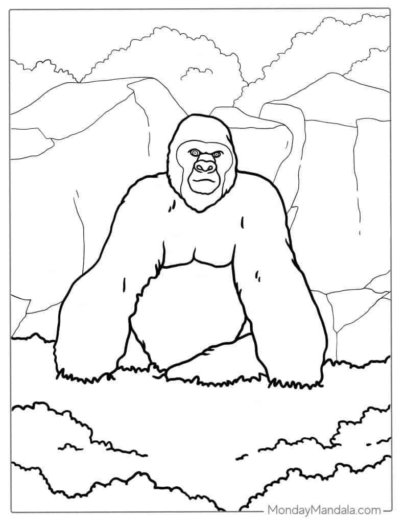 Gorilla coloring pages free pdf printables