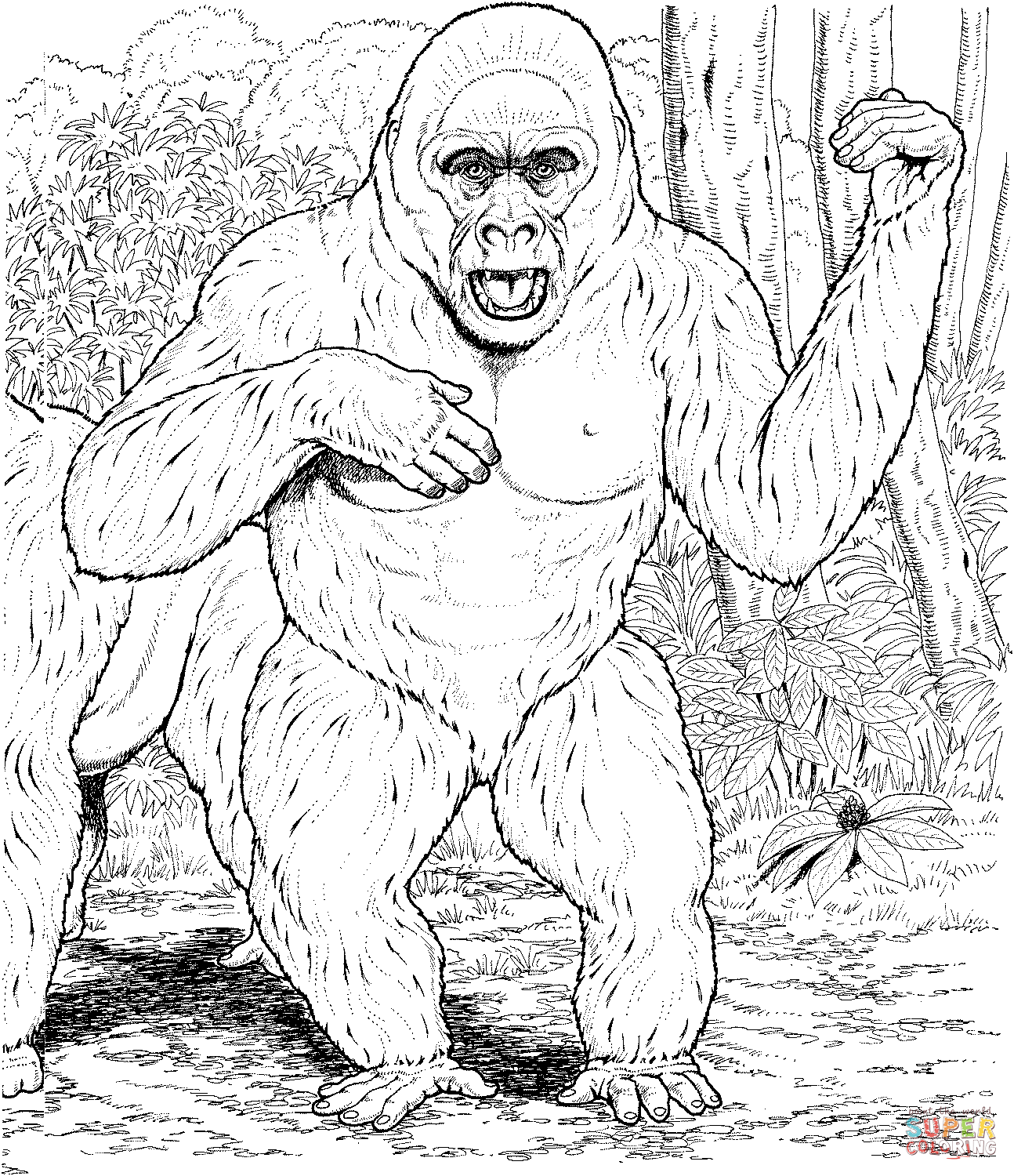 Gorilla beats his chest coloring page free printable coloring pages