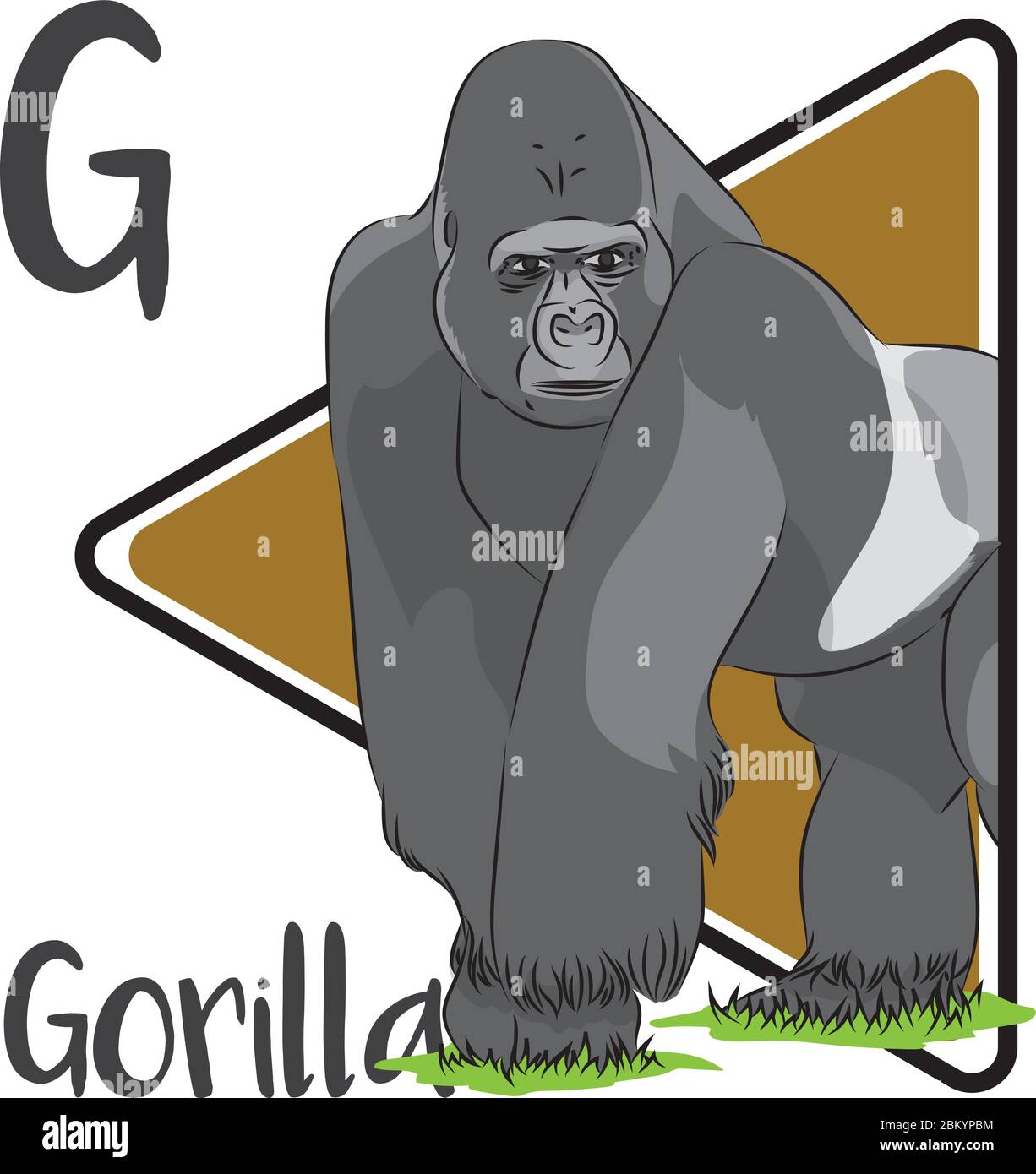 Silverback gorilla cut out stock images pictures