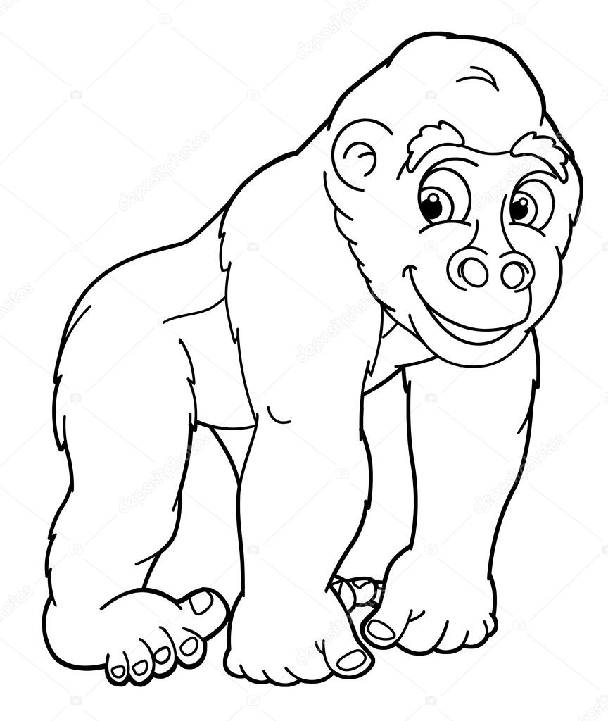 Gorilla