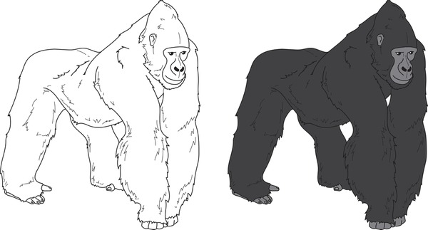 Hundred cartoon gorilla coloring page royalty