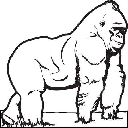 Free monkeys coloring pages for kids