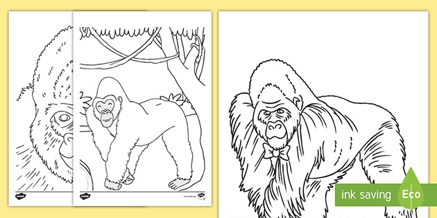 Gorilla colouring in pictures