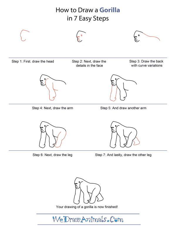 How to draw a gorilla gorilla drawings drawing tutorial easy