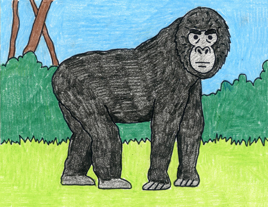 Easy how to draw a gorilla tutorial and gorilla coloring page