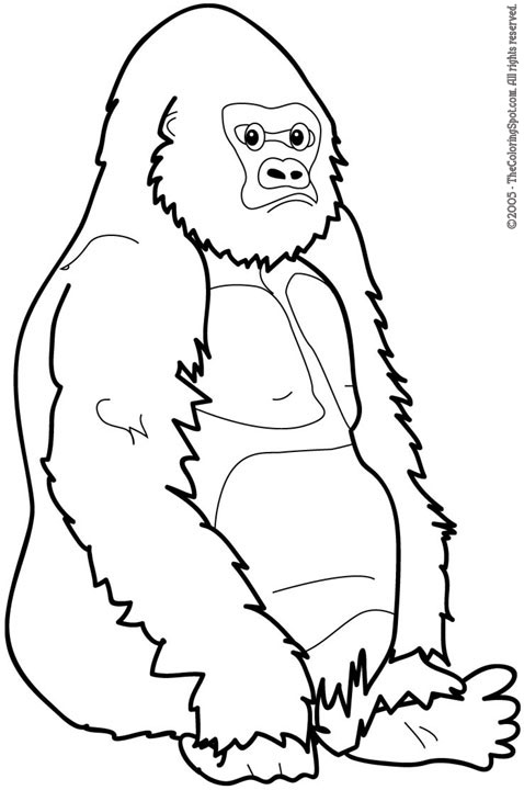 Gorilla coloring page audio stories for kids free coloring pages colouring printables