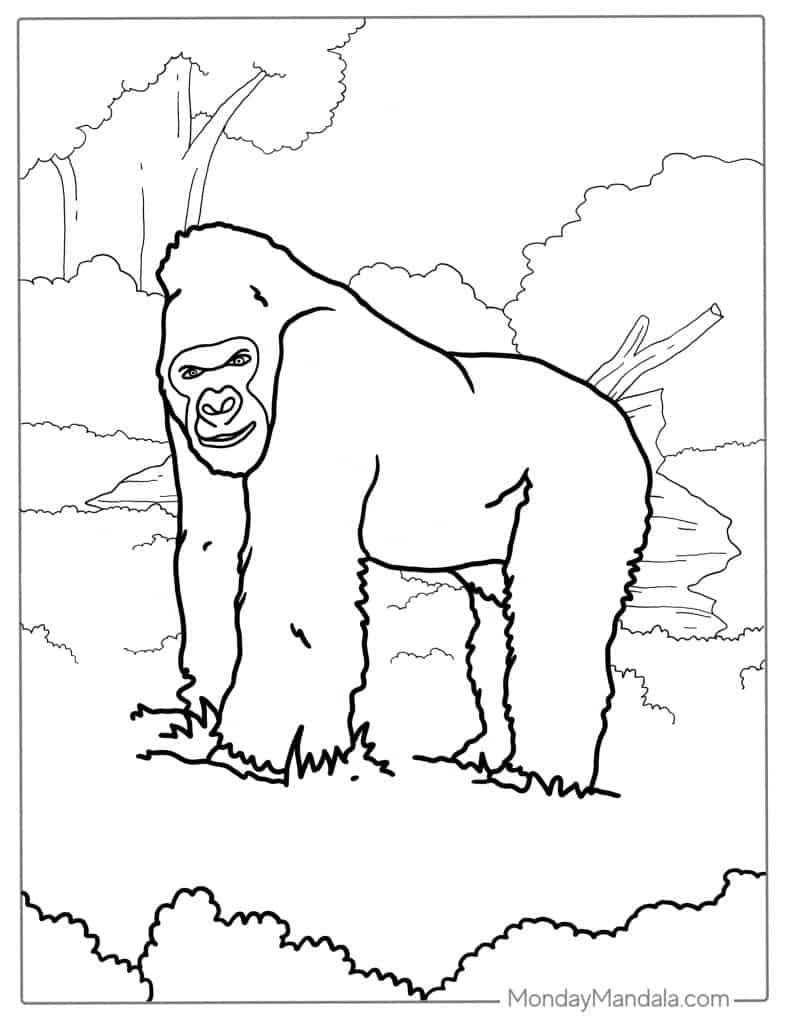 Gorilla coloring pages free pdf printables