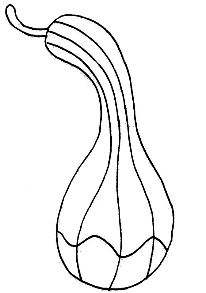 Squash coloring pages