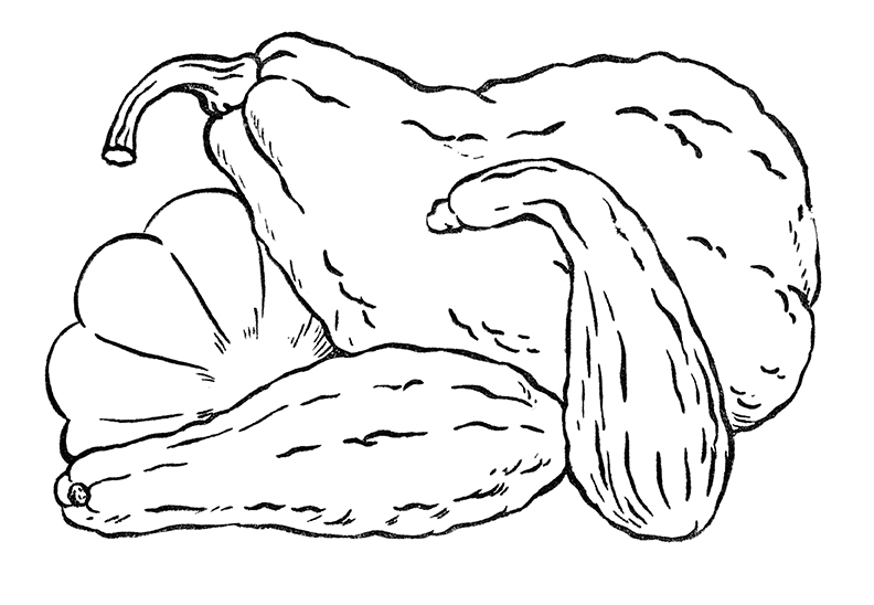 Fall leaves coloring pages more