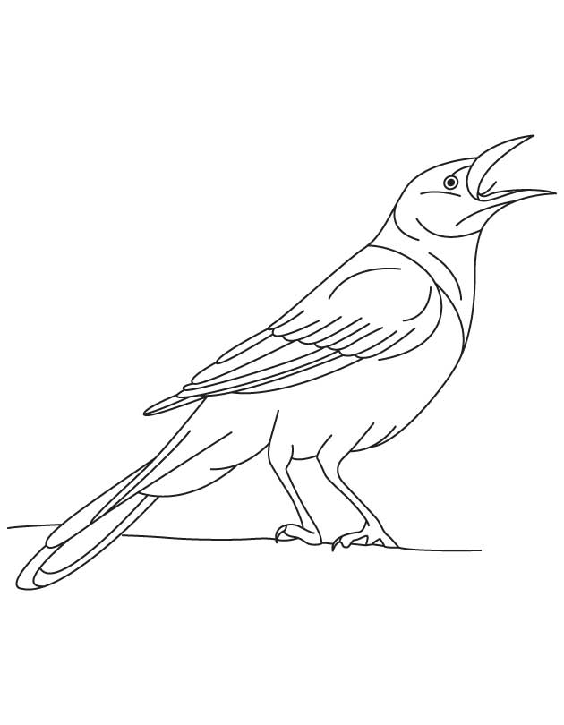 Iridescent grackle bird coloring page download free iridescent grackle bird coloring page for kids best coloring pages