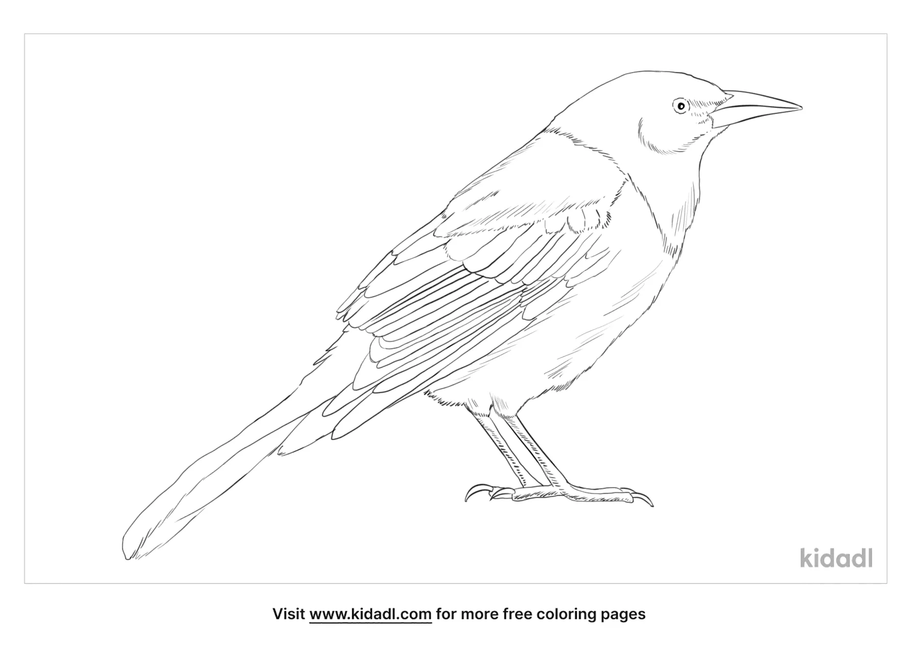 Free mon grackle coloring page coloring page printables