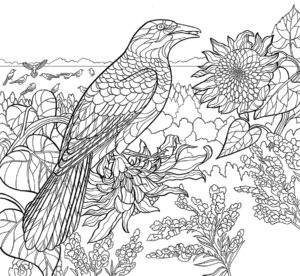 Backyard birds blossoms coloring page downloads â cornell lab publishing group