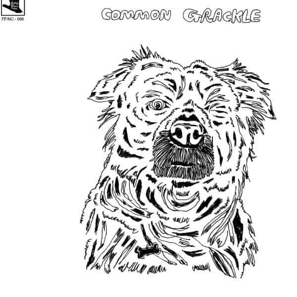 Mon grackle old dog new tricks who this vinyl norman records uk