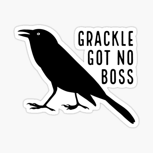 Grackle stickers for sale