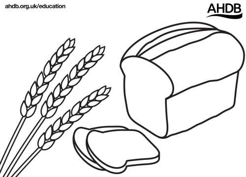 Grain art templates teaching resources countryside classroom