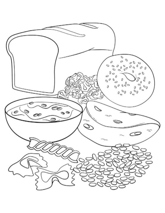 Adult high school middle school myplate coloring book workbook pack of