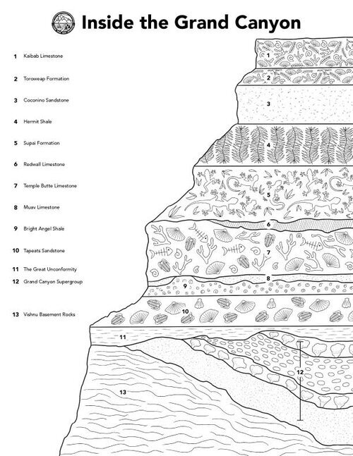Color your own adventure â abby hersey
