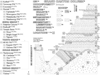 Grand canyon column coloring page by mr mcneely tpt