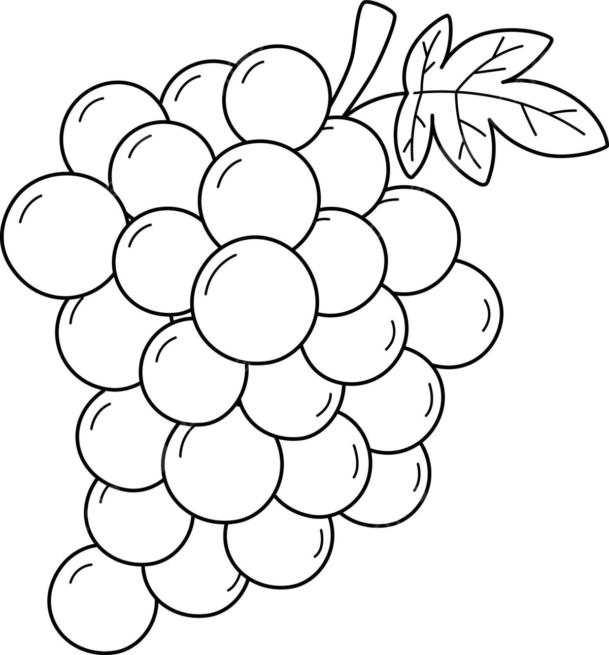 Grapes fruit isolated coloring page for kids kids nutritious summer vector fruit drawing summer drawing grape drawing png and vector with transparent background for free download