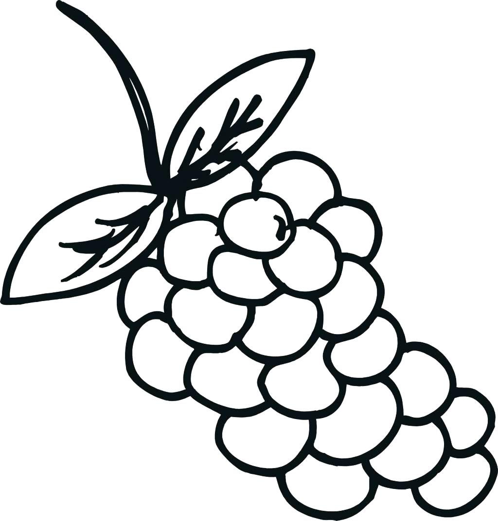 Grapes coloring pages