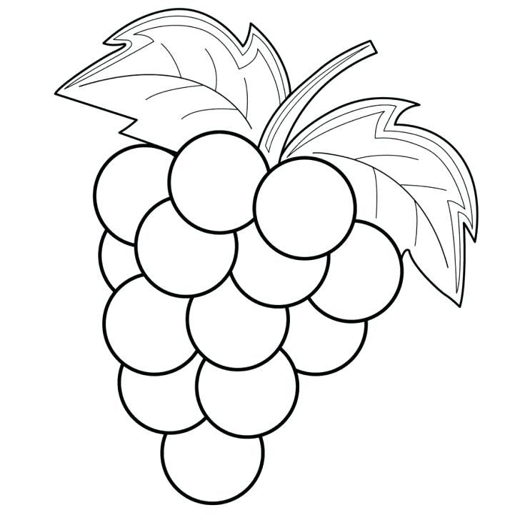 Grab your fresh coloring pages grapes free httpswwwgethighitfresh