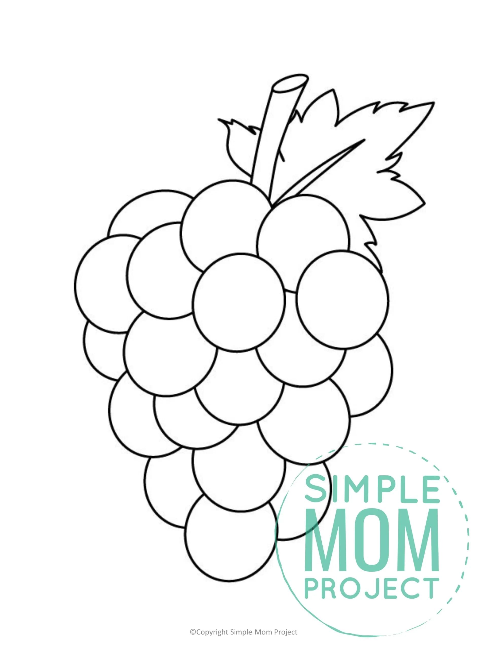 Free printable grape template fall coloring sheets preschool color activities grape drawing