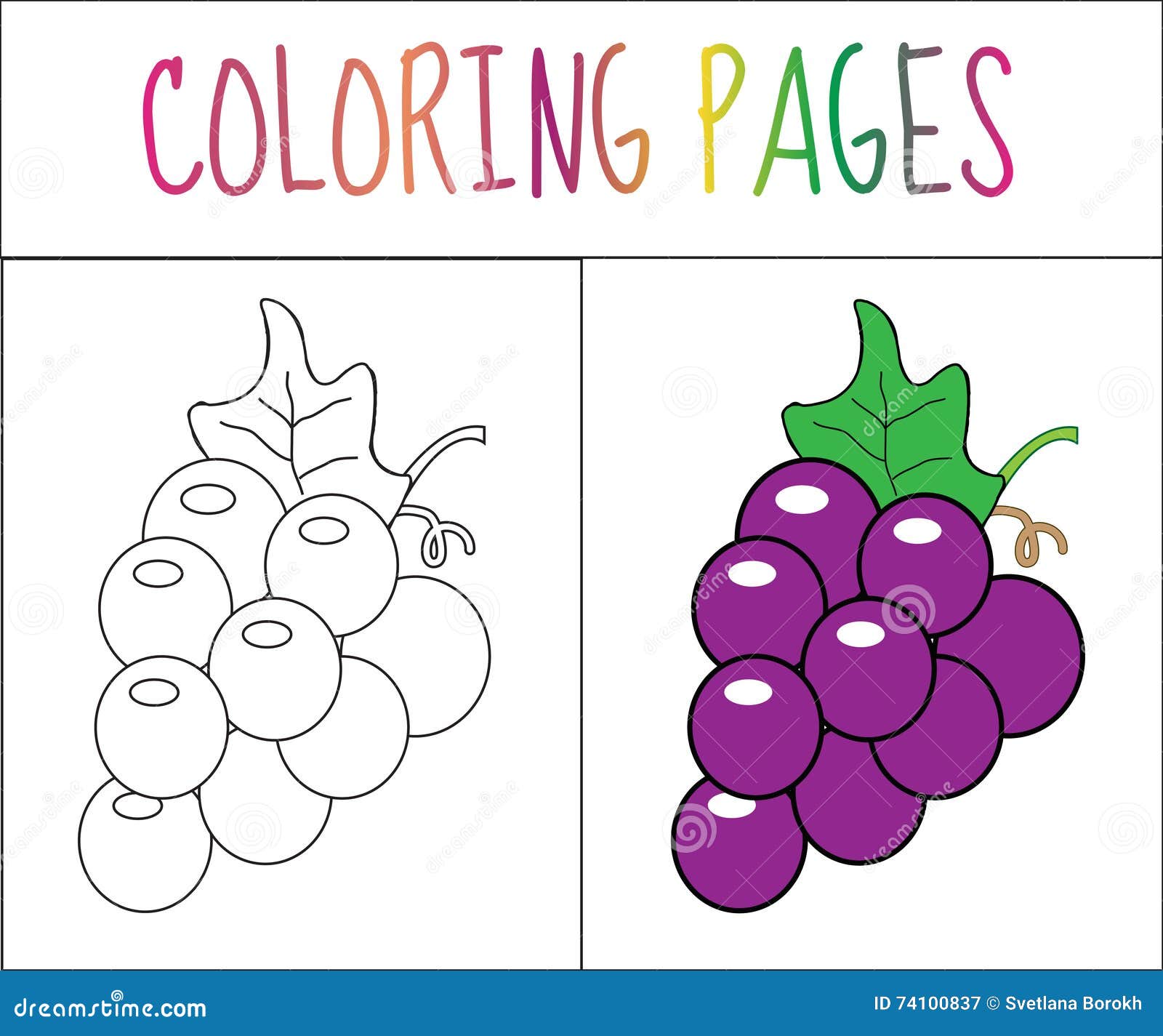 Coloring book page grapes sketch and color version coloring for kids stock vector