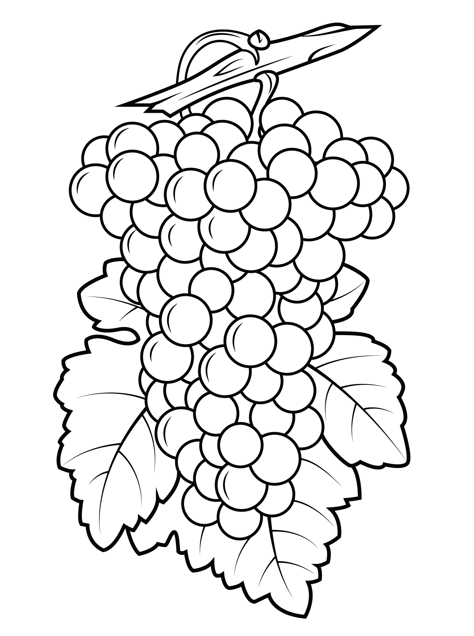 Grapes coloring pages