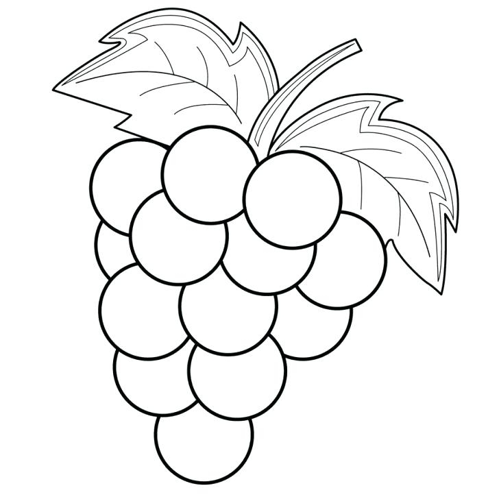 Grapes coloring pages