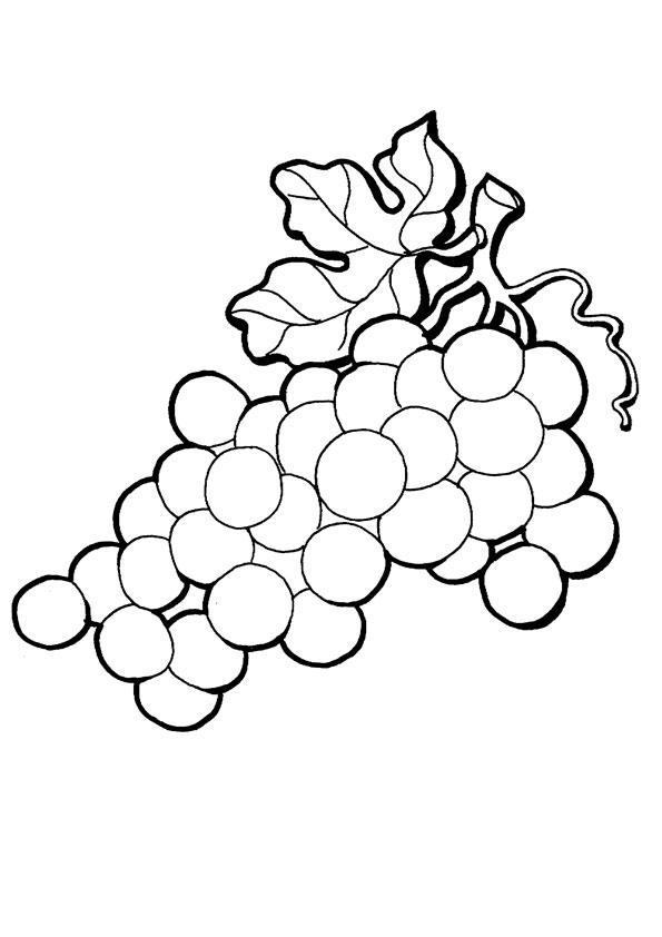 Coloring pages grapes coloring page for kids
