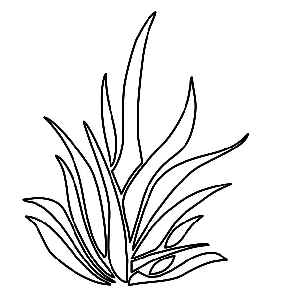 Grass coloring pages for kids color luna coloring pages for kids coloring pages outline pictures