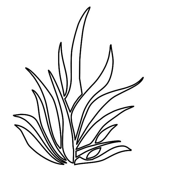 Grass coloring pages for kids color luna coloring pages for kids coloring pages outline pictures