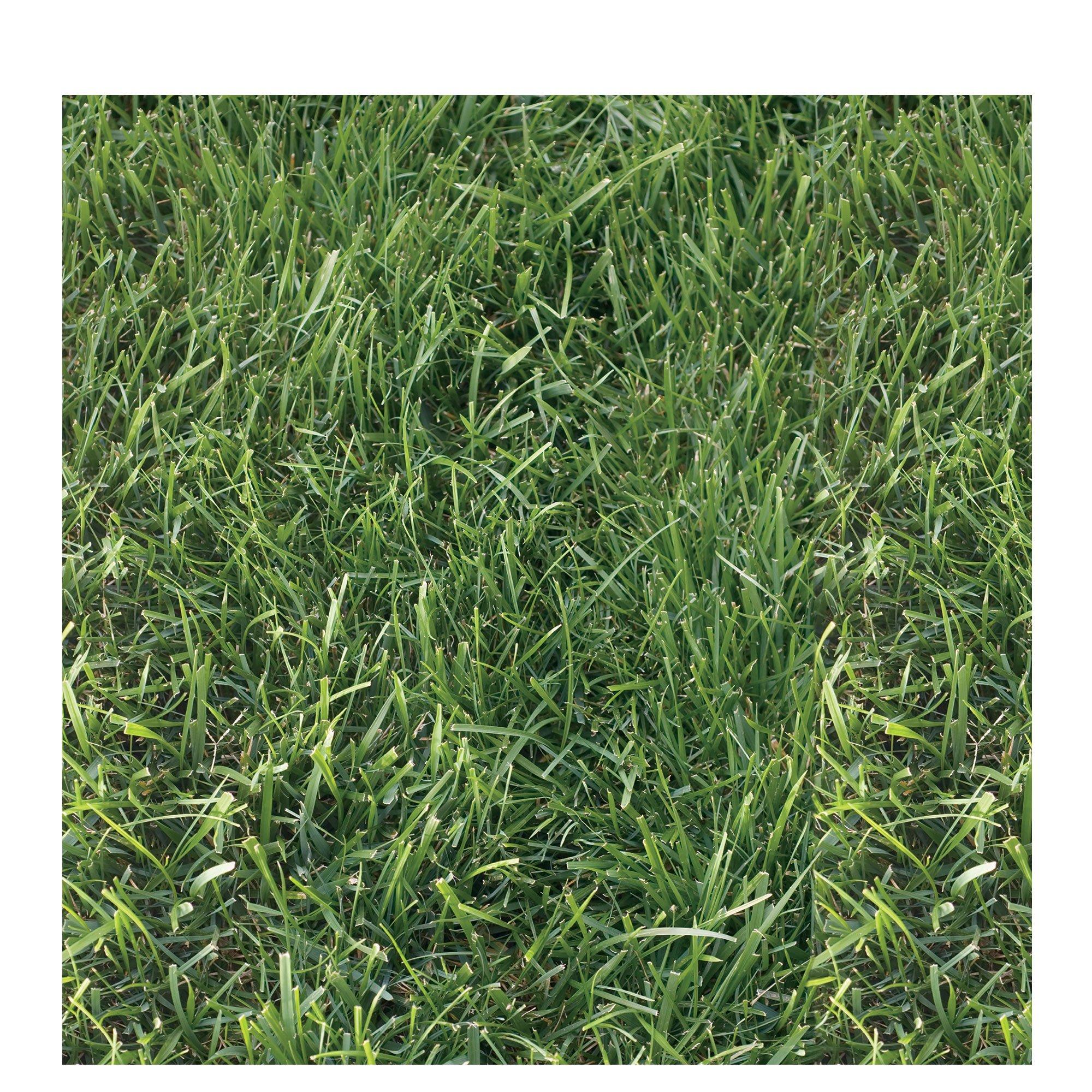 Grass scrapbook paper hobby lobby