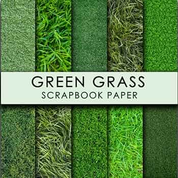 Green grass scrapbook paper double sided sheets x for scrapbooking mixed media art junk journals crafting projects origami and more premium color editions rekiagreengrass books