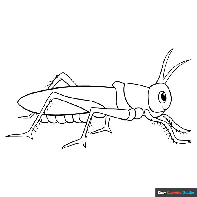Free printable insect coloring pages for kids