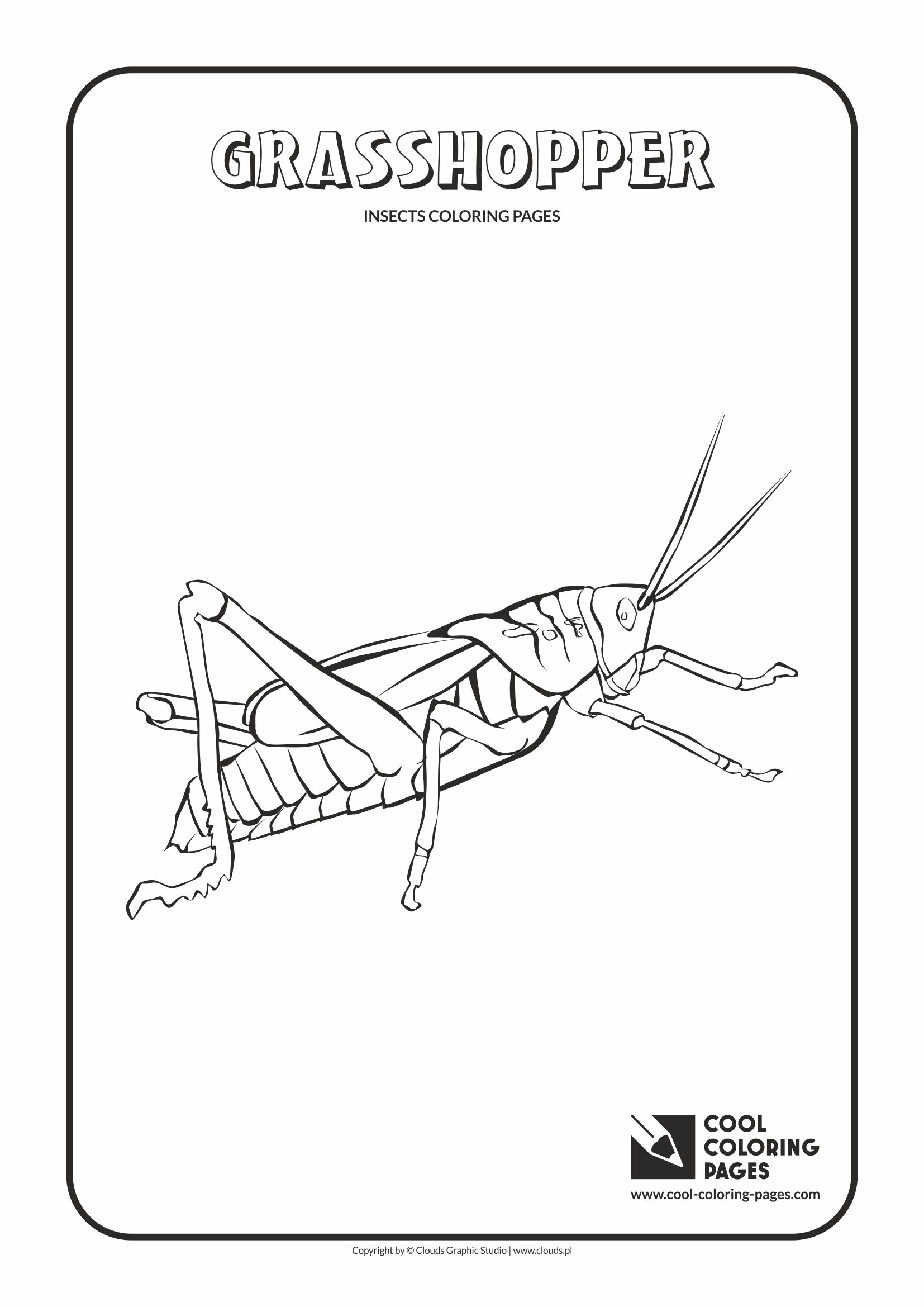 Cool coloring pages grasshopper coloring page