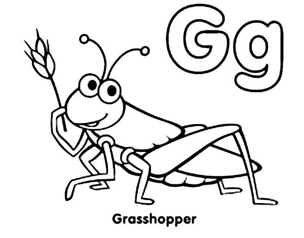 G is for grasshopper coloring page coloring pages alphabet crafts colouring pages