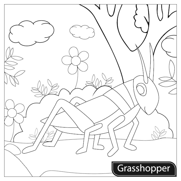 Premium vector grasshopper coloring page for kids