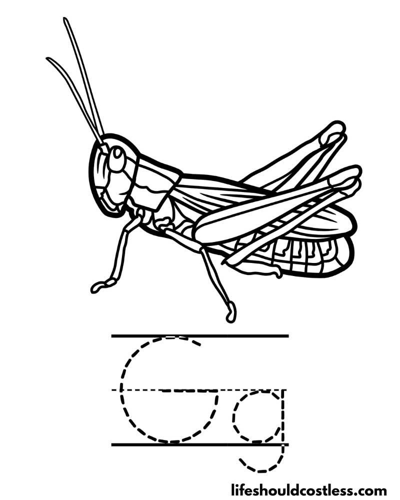 Grasshopper coloring pages free printable pdf templates