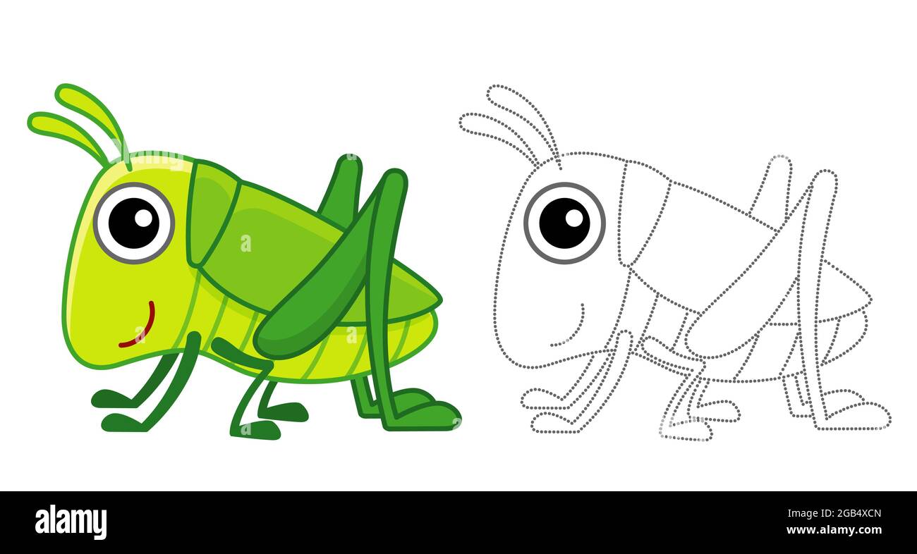 Illustration of a grasshopper hi