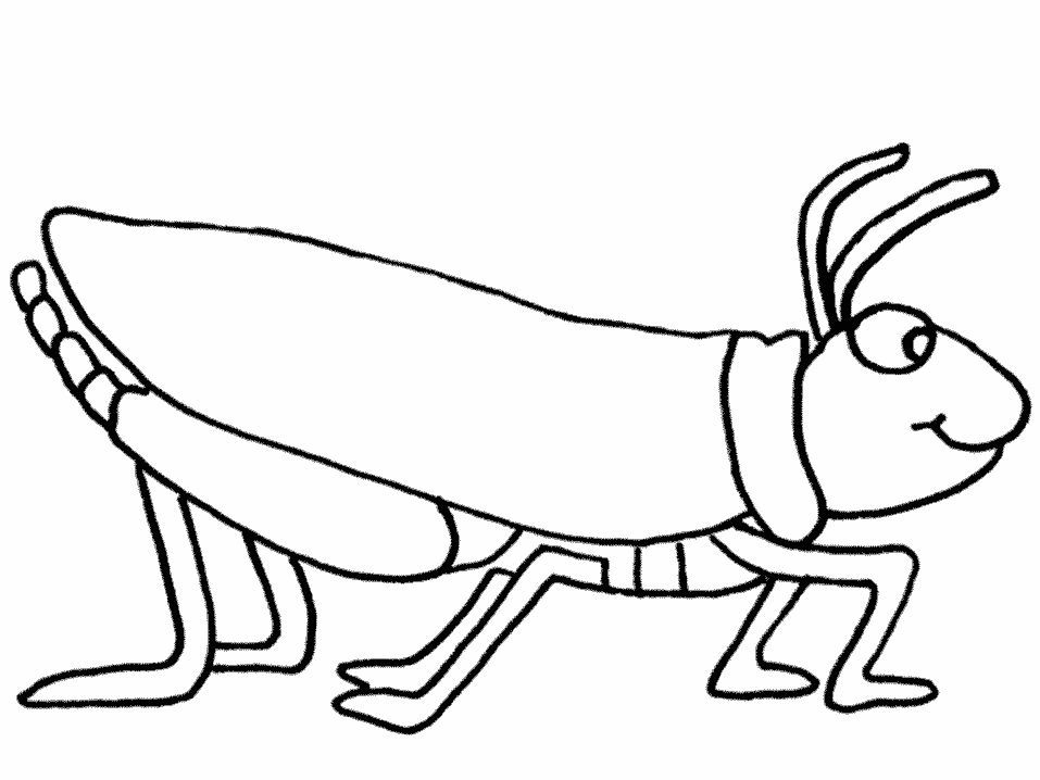 Grasshopper coloring pages for kids coloring pages for kids coloring pages grasshopper