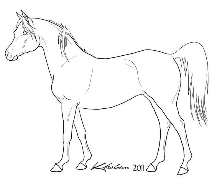 Arabian lineart by kholran horse coloring pages horse coloring horse coloring books