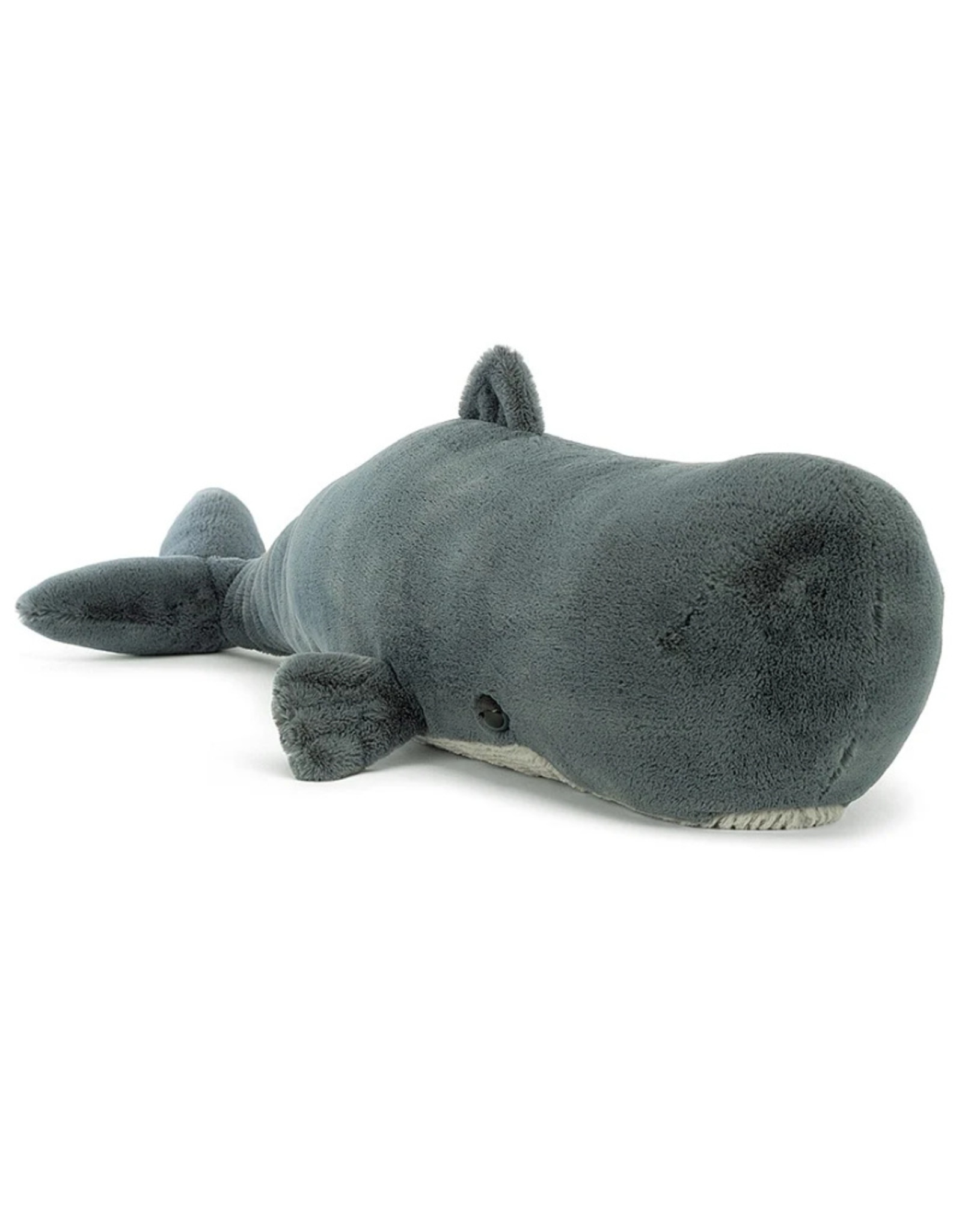 Sullivan the sperm whale