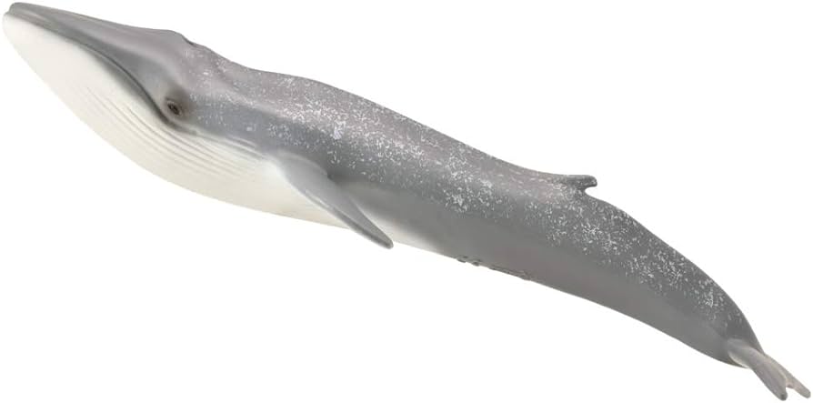 Llecta blue whale toys games